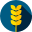 camera-icon