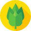 camera-icon